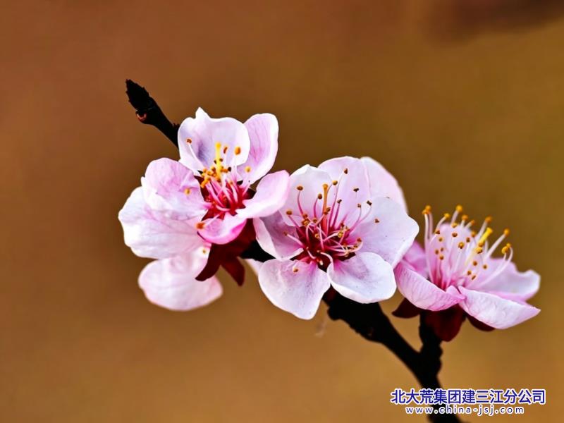 IMG_8539.jpeg