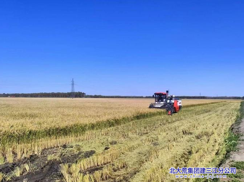 1010dae35654fd1e0fc207c9d11045a_副本.png