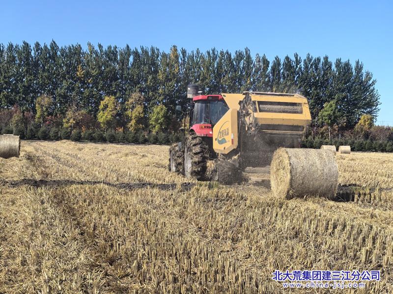 IMG_20251006_092555_副本.jpg IMG_20251006_092555_副本.jpg