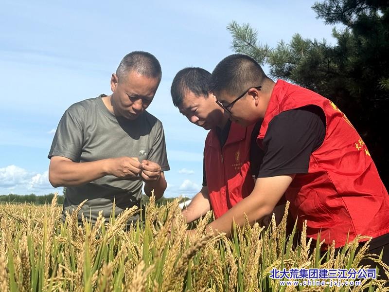 微信图片_20250821150911_副本.jpg