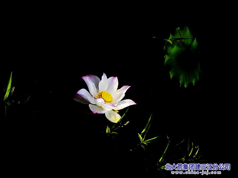 Camera_1040g3k831jt72.jpg