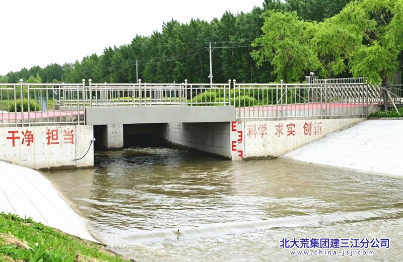 新对话 (3)_副本.png