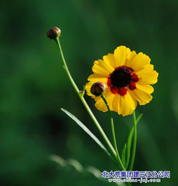 8c0ac1610067762b066ff6fa70dccda9.jpg