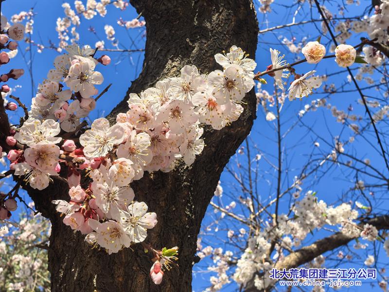 IMG_20260509_064731_副本.jpg