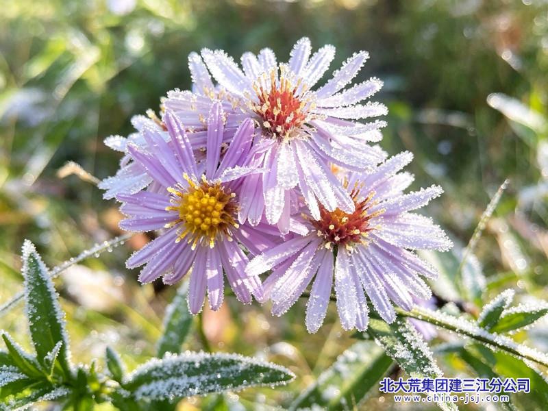 9bc25f267eeb86231f43738eb63b745b_副本.jpg