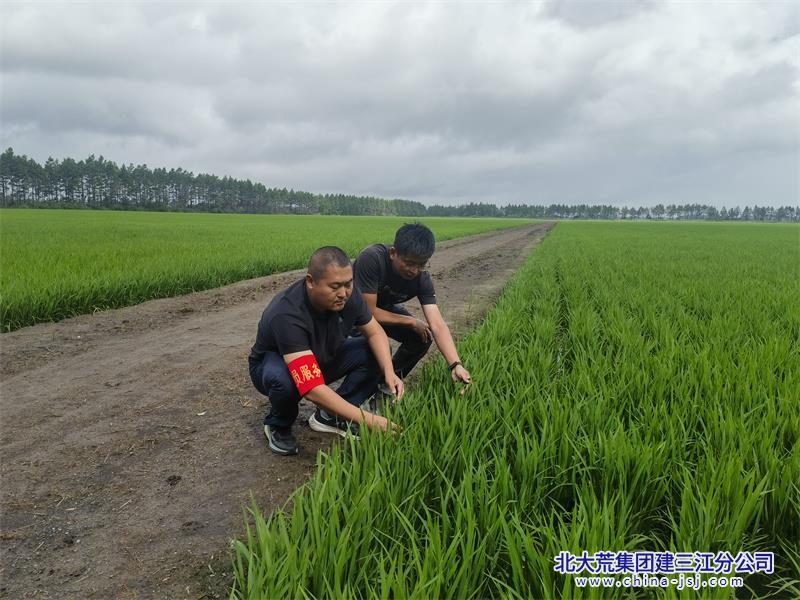 微信图片_20260706080146_726_58.jpg