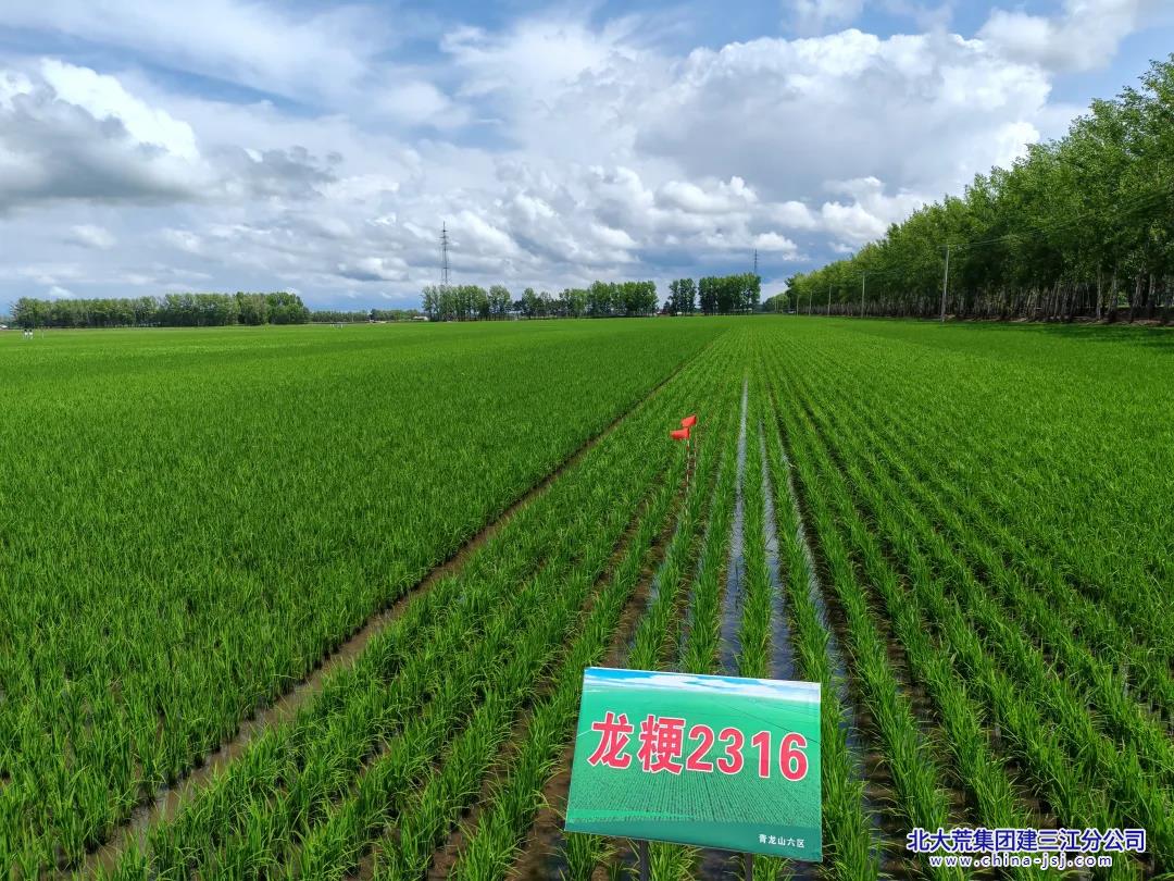 青龙山科技夏管 (2).jpg