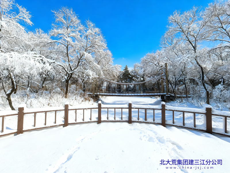 雪枝衔碧空  桥卧素尘间_副本.png