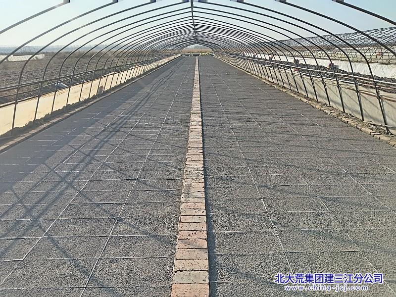 抢抓有利时机全面开展水稻秋摆盘工作 摄影 周立伟.jpg