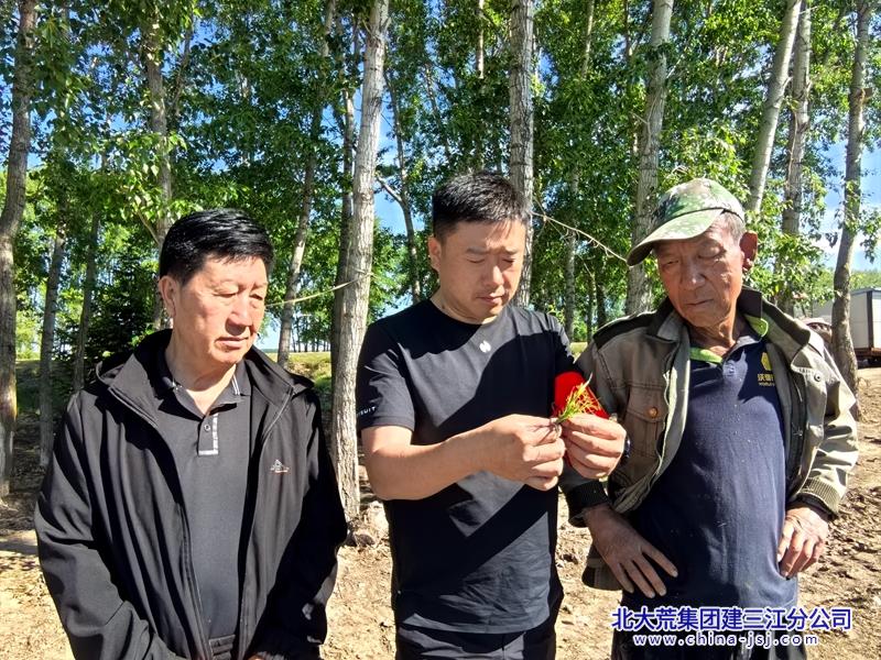 微信图片_20260528080213.jpg