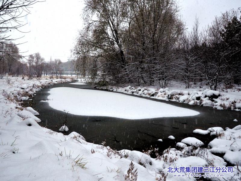 雪溪半凝，林畔冬韵.jpg