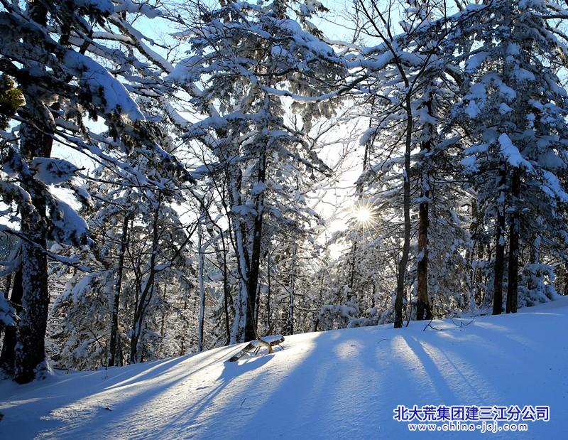 林海雪原.jpg