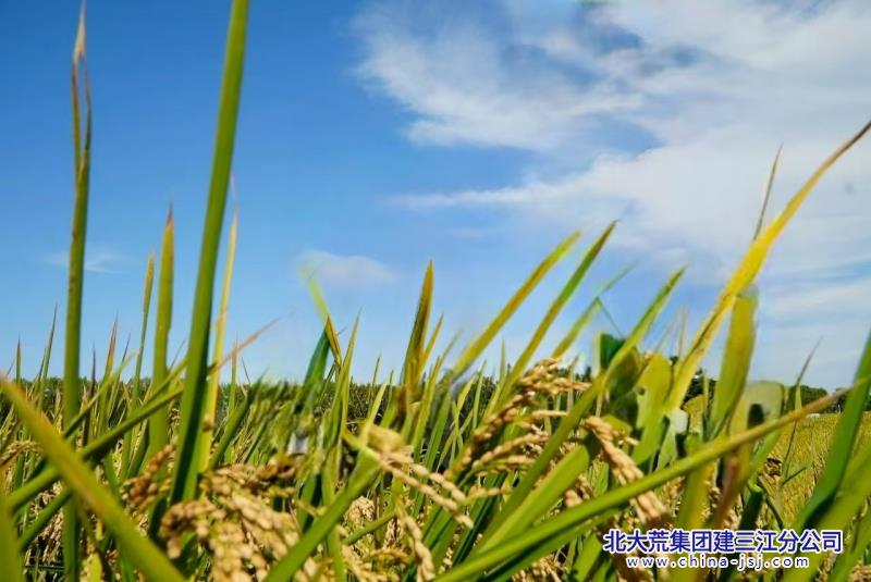 微信图片_20250903074831_副本.jpg