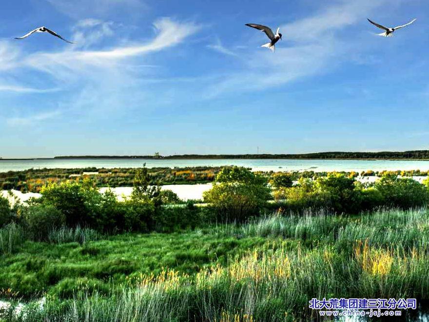 生态湿地.jpg