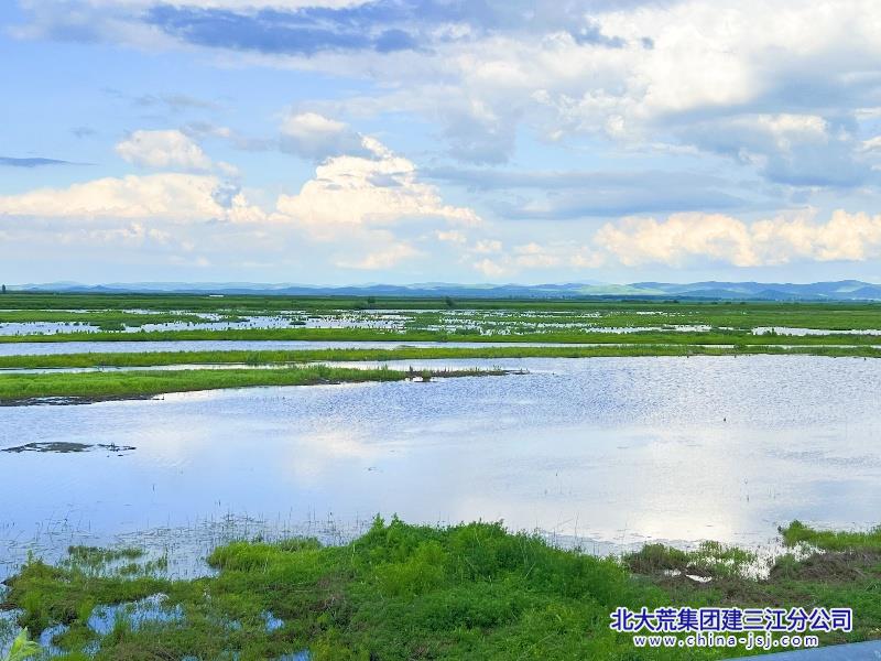 湿地猎影 水泽云栖 野草浮光.jpg