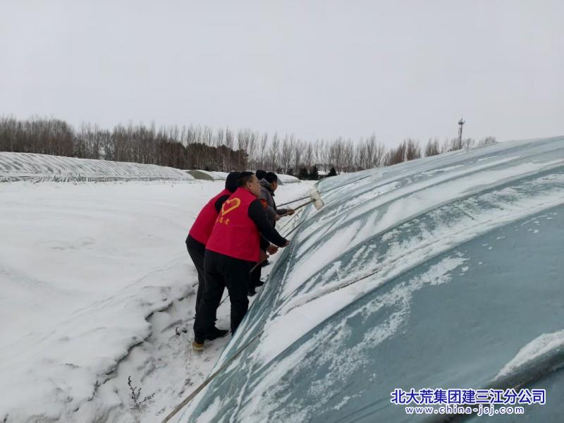 25年青龙山四区春耕 (9).jpg