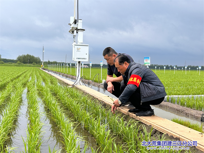 七星分公司把稻田装进“数据库” 智慧农业精耕“沃野良田”（七星分公司顾鹏飞17745215001）图片.png