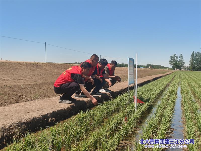 微信图片_20260615144417_150_41.jpg 微信图片_20260615144417_150_41.jpg