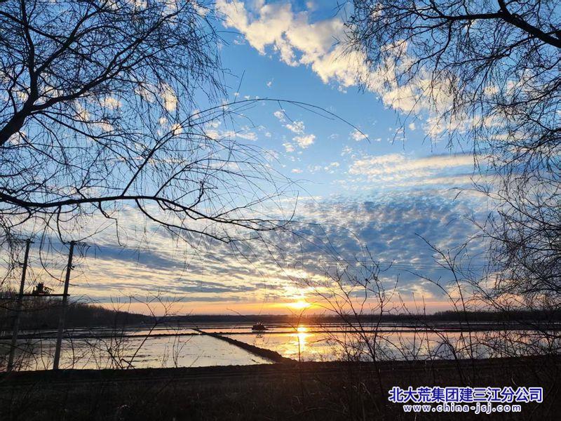 夕阳醉晚霞.jpg