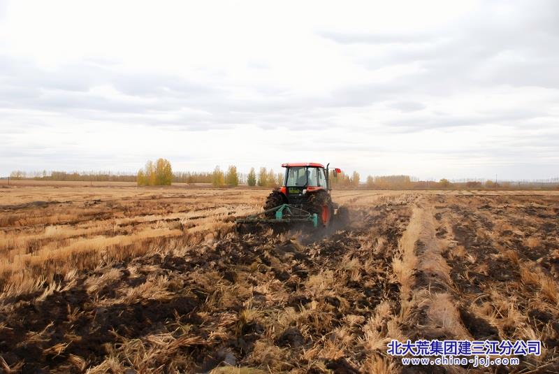 R-C(1).jpg R-C(1).jpg