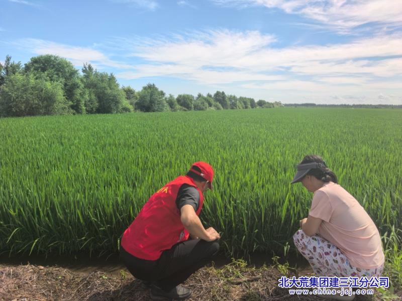 建三江发稿党员服务群众.jpg