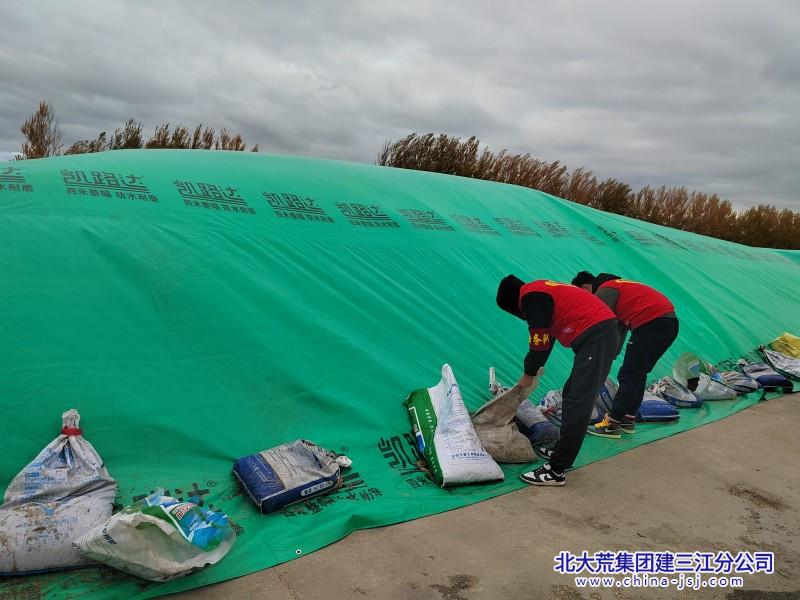 二区志愿者服务队助理秋收粮食安全 (58).jpg