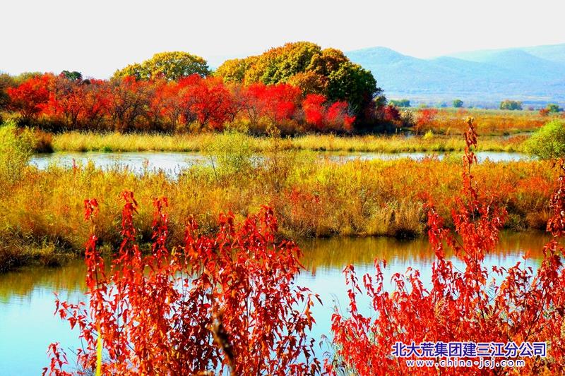 秋来枫叶红似火（摄影）--刘海志--勤得利分公司_副本.jpg