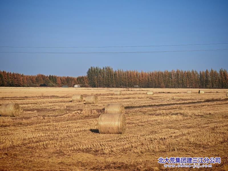 微信图片_20261015082647_216_1455_副本.jpg 微信图片_20261015082647_216_1455_副本.jpg