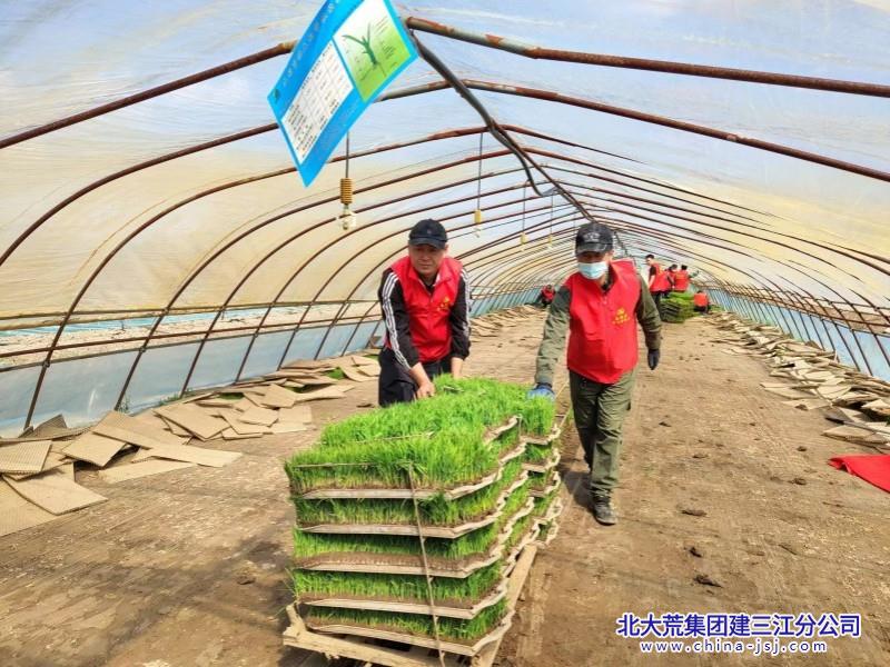 青龙山照片 (13).jpg