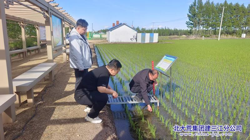 微信图片_20260603154845_5224_698_副本.jpg
