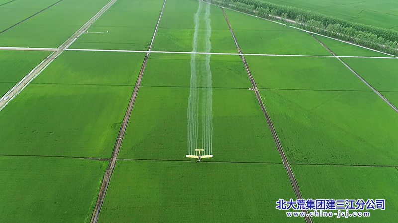 1468cc329c6b0e26c52791ffe9aa418_副本.png