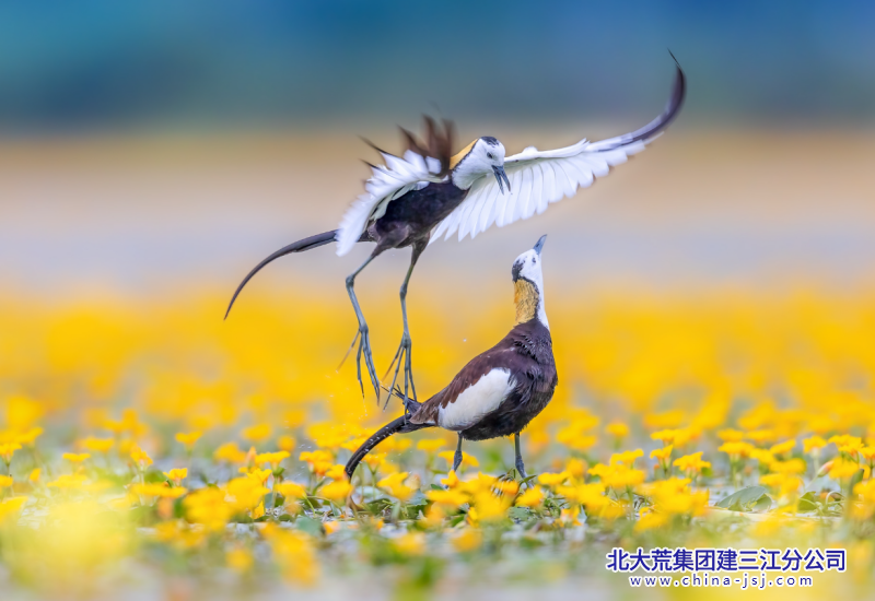微信图片_20240429080301_副本.png