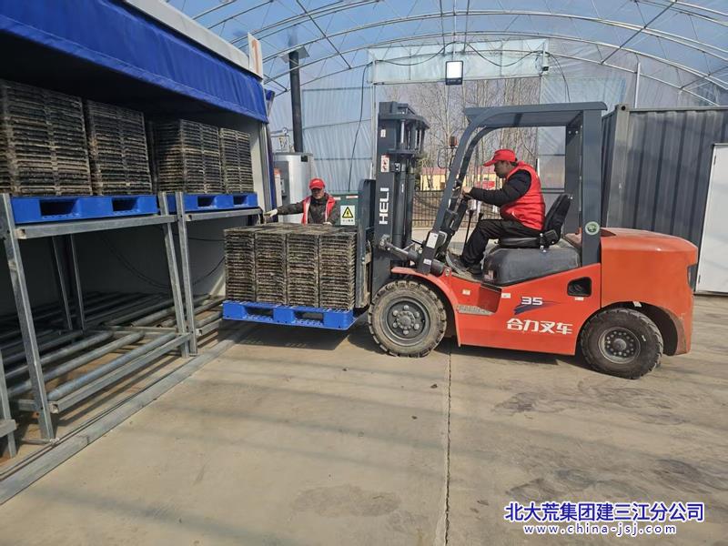 第二管理区芽种下摆稳供给 筑牢春耕丰收根基.jpg