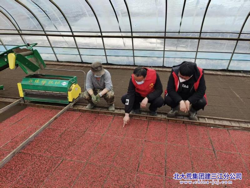 图片1.jpg 图片1.jpg