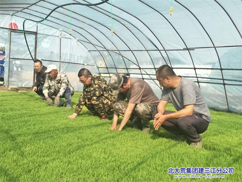 微信图片_20190515081341.jpg
