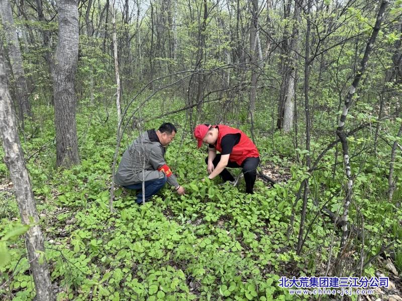 ea3b359e02d9c2555e7ac78bc9157da_副本.jpg