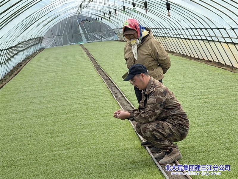 微信图片_20260427081756_586_58 - 副本.jpg