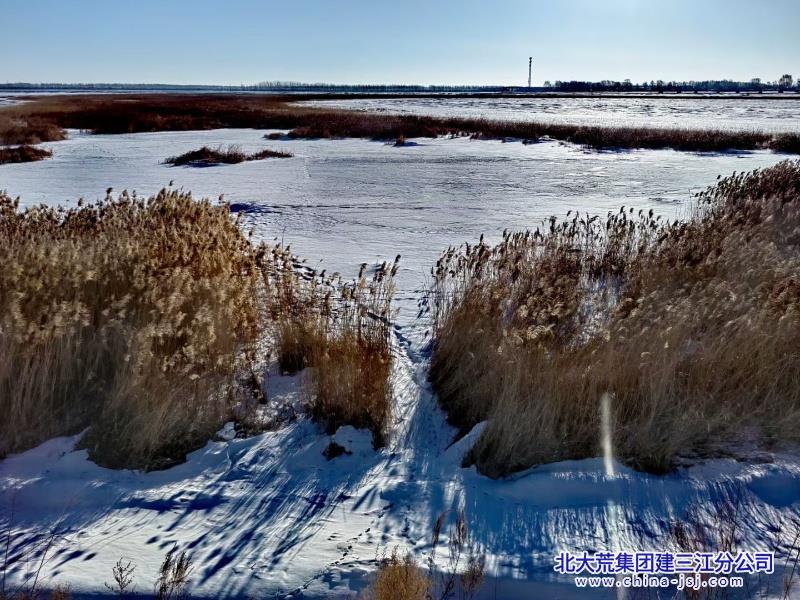 冰凝湿地  雪覆荒汀.jpg