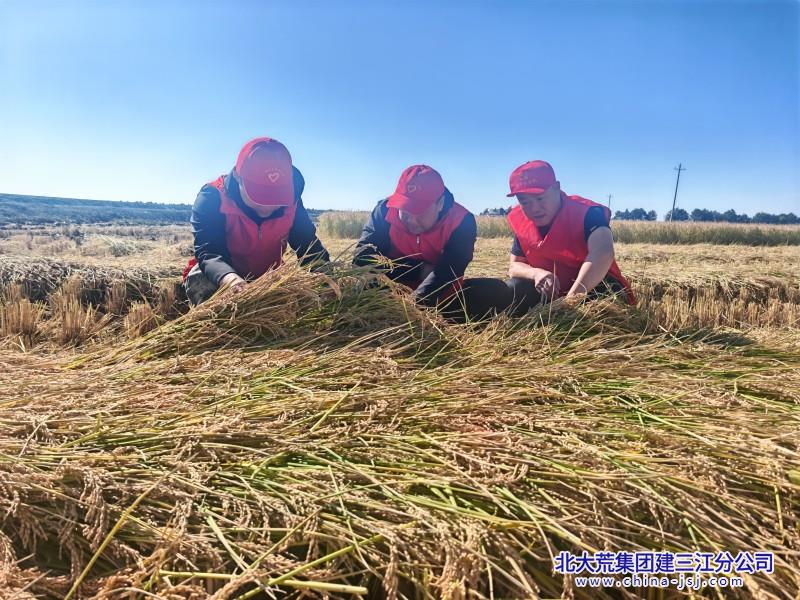 2026六区秋收时期照片 (1).jpg