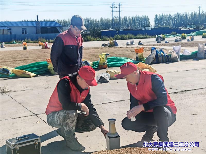 2026六区秋收时期照片 (2).jpg