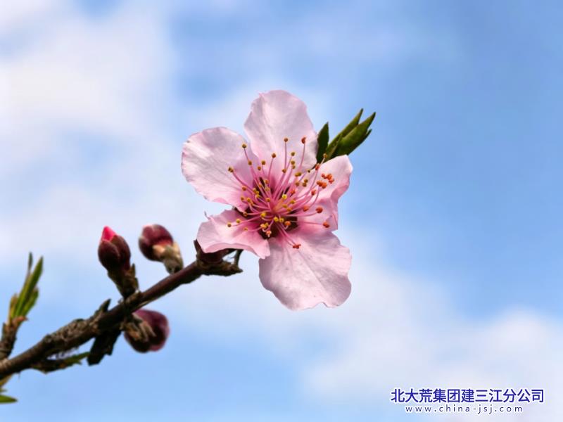 IMG_8194.jpeg