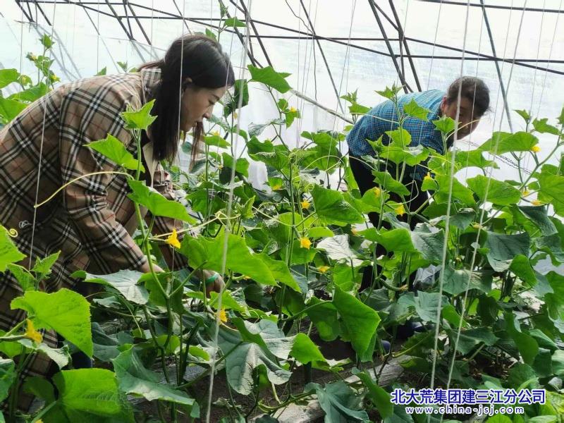 微信图片_2025-05-22_081709_334_副本.jpg