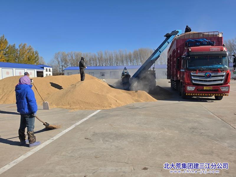 洪河农场第二管理区优化售粮服务 助推秋粮变现增收.jpg