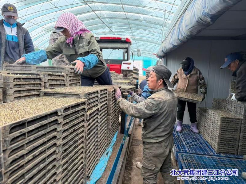 叠盘暗室 (4).jpg