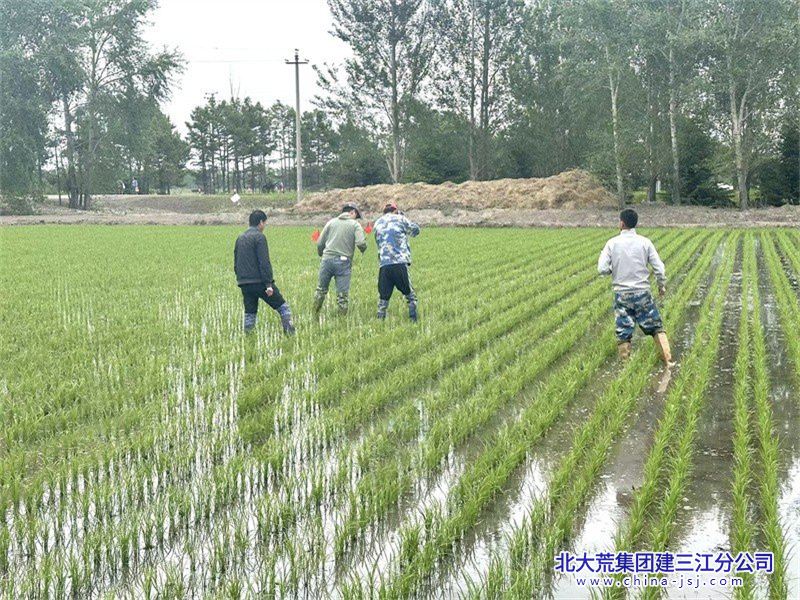 青龙山微信图片_20240611184705800+600.png