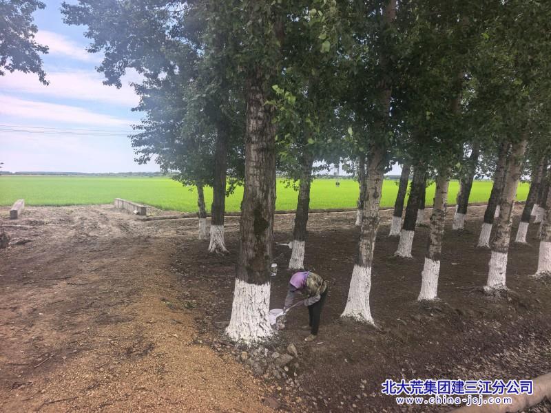 五边大棚环境治理800600 (2).jpg