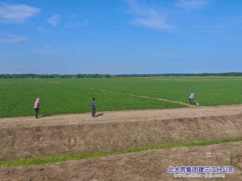 五边大棚环境治理800600 (6).jpg