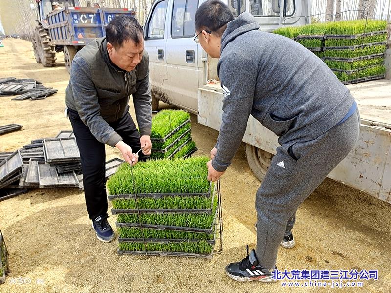 微信图片_20250507074001.jpg