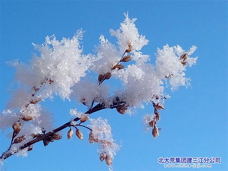 微信图片_20231208082252.jpg