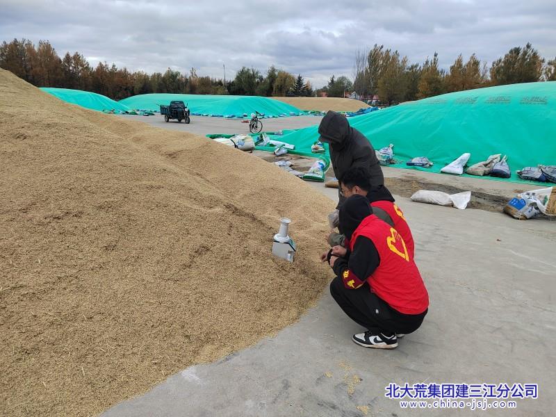 二区志愿者服务队助理秋收粮食安全 (65).jpg 二区志愿者服务队助理秋收粮食安全 (65).jpg